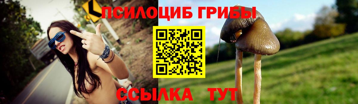 Псилоцибиновые грибы Magic Shrooms Дмитров